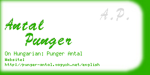 antal punger business card